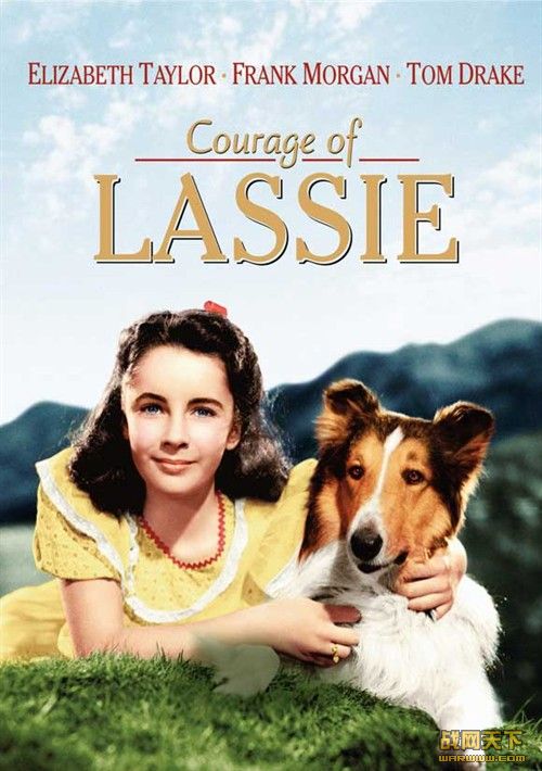 ¸ҵ:սռ(Ȯ3)(COURAGE OF LASSIE)