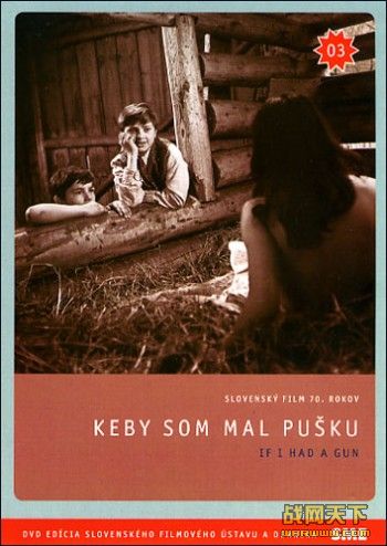 Ҫǹ/һ֧ǹ(Keby som mal pusku)