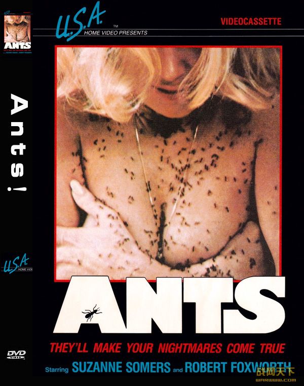 ϶(Ants!)