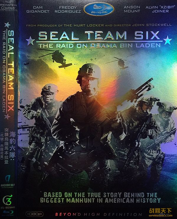 ӣͻϮ/ɱ(Seal Team 6: The Raid on Osama Bin Laden)