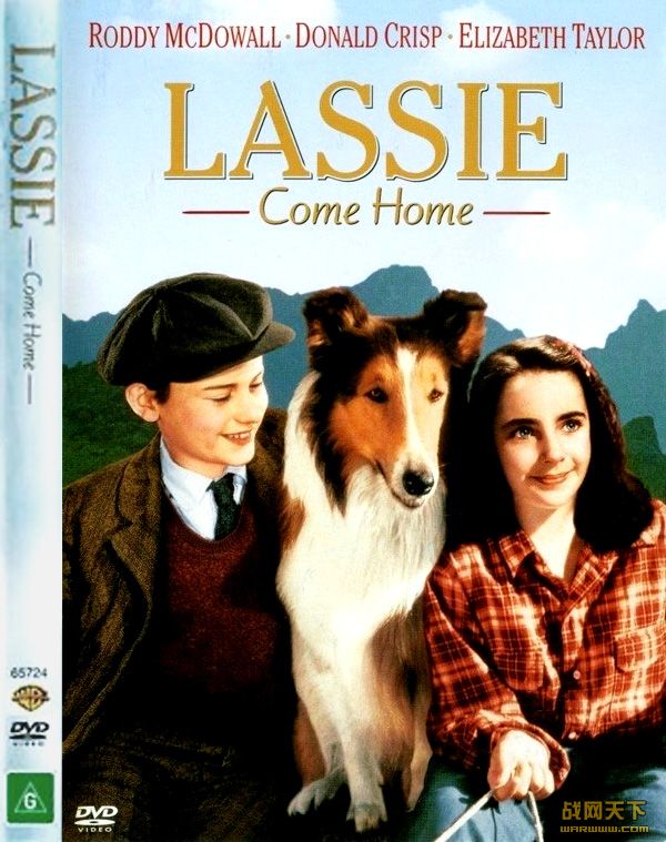 ؼ/Ȯ(LASSIE COME HOME )