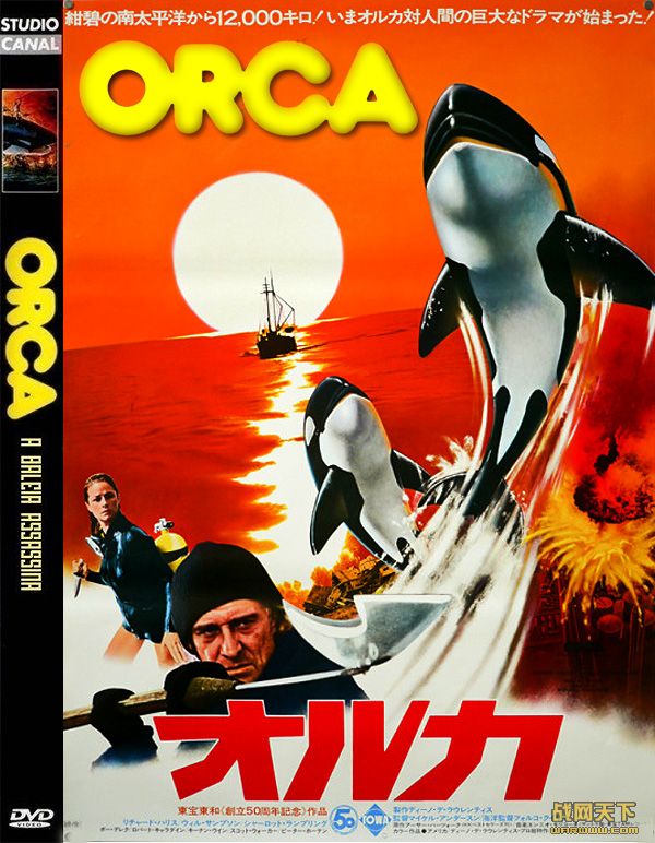 ɱ˾/ľ(Orca)