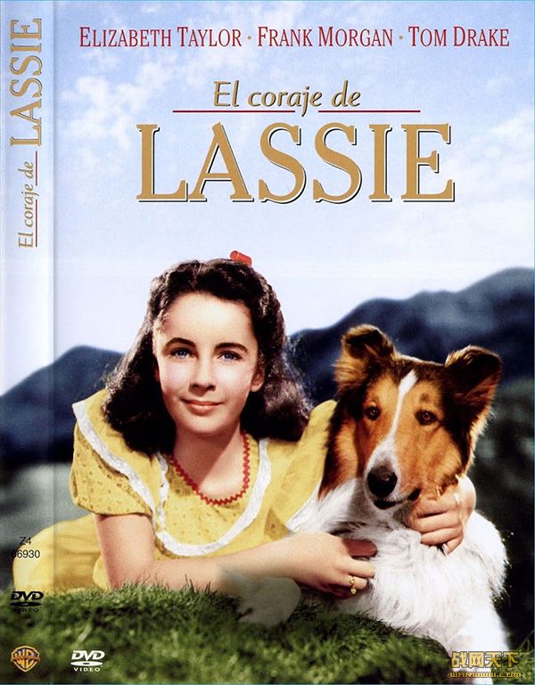 ȮͿ(COURAGE OF LASSIE)