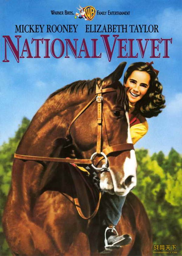 Ů ɫ(National Velvet)