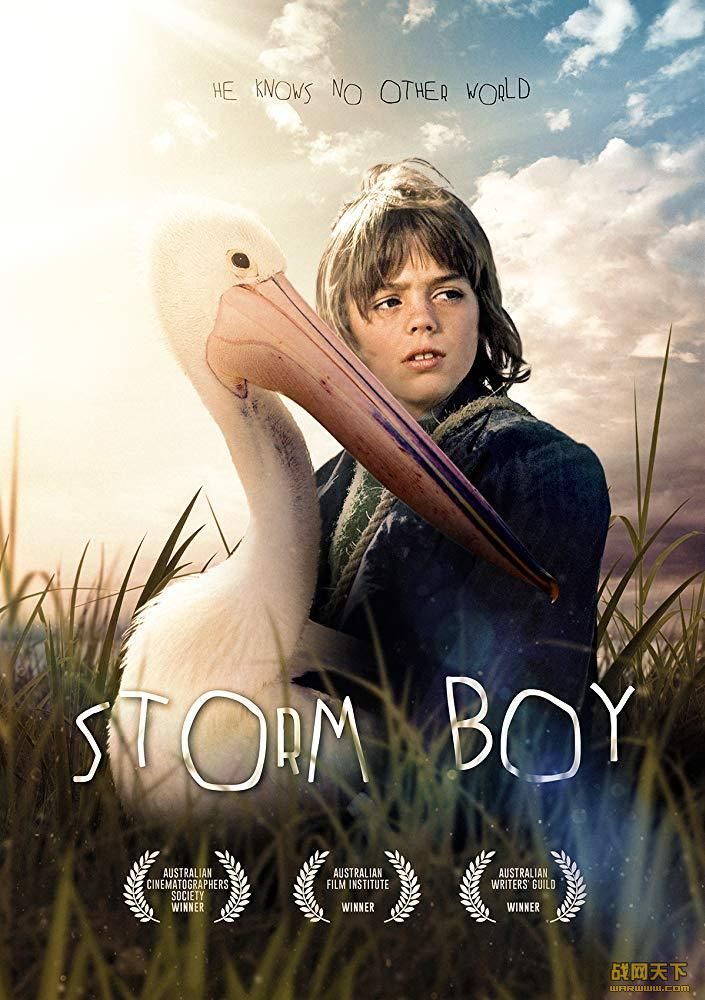 ɵĹ(Storm Boy )