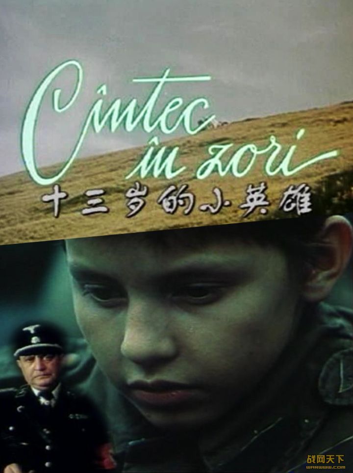 十三岁的小英雄(Cintec in zori)海报