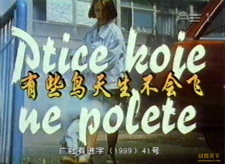 Щɣܰ飩(Ptice koje ne polete)