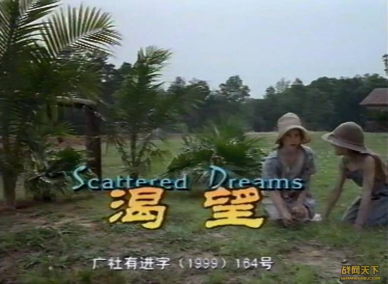  󱦾糡(Scattered Dreams)